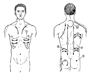 Scheme of the banka massage (enlarge)